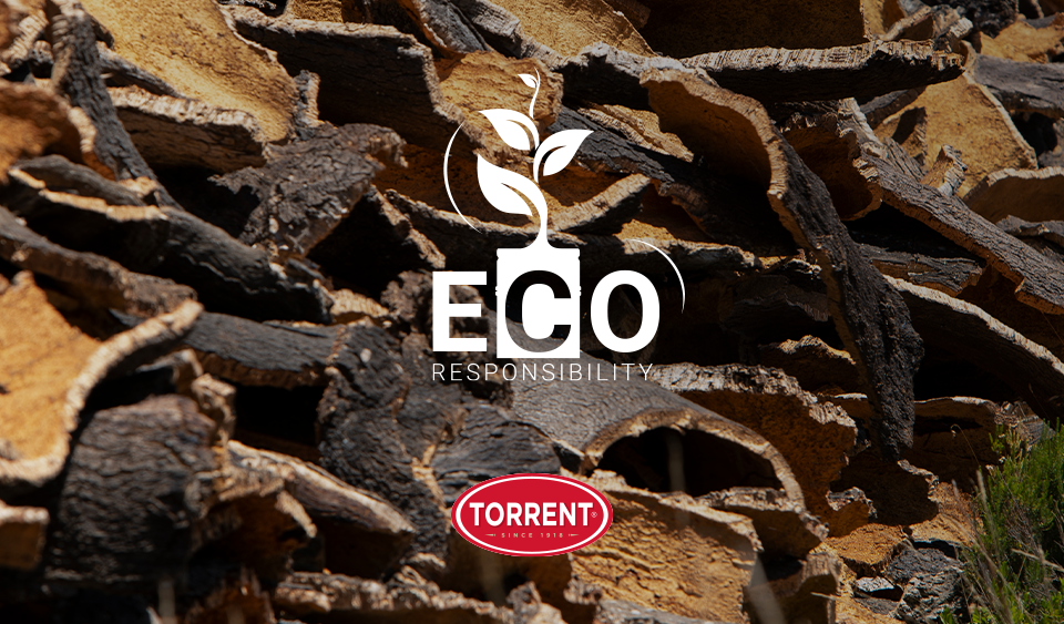 Eco-responsibility | Torrent Group